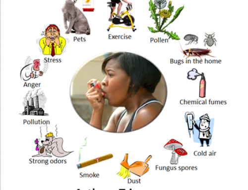 ఉబ్బస వ్యాధికి కారణాలు